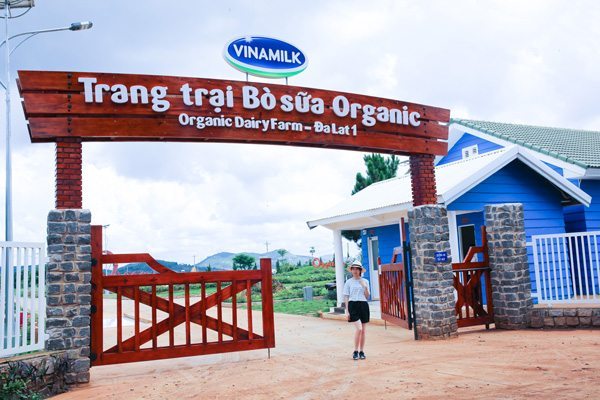 Nông trường bò sữa Vinamilk-Organic-Milk-Farm-Đà Lạt -datphongdalat.vn-4
