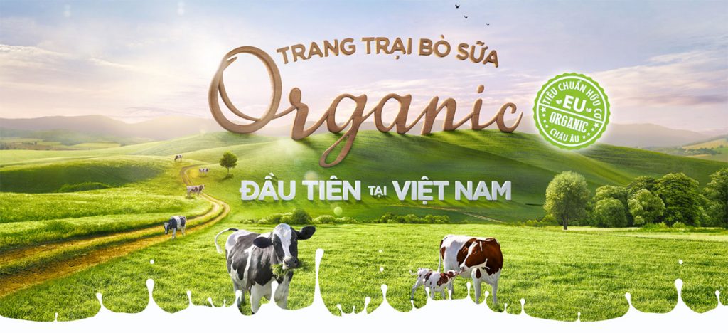 Nông trường bò sữa Vinamilk-Organic-Milk-Farm-Đà Lạt -datphongdalat.vn-5
