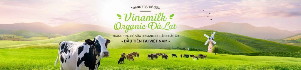 Nông trường bò sữa Vinamilk-Organic-Milk-Farm-datphongdalat.vn-6
