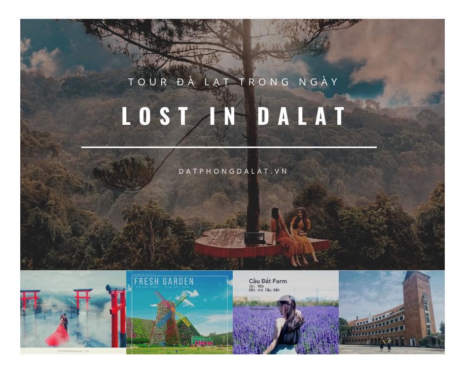 Tour Lost in Da Lat - Tour Đà Lạt 1 ngày 2019 - TA Travel