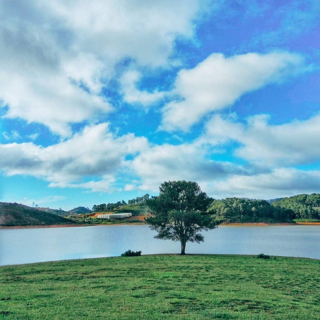 Đặt phòng Khách sạn Đà Lạt –  Resort Da Lat – Villas – Homestay Đà Lạt giá rẻ 2025