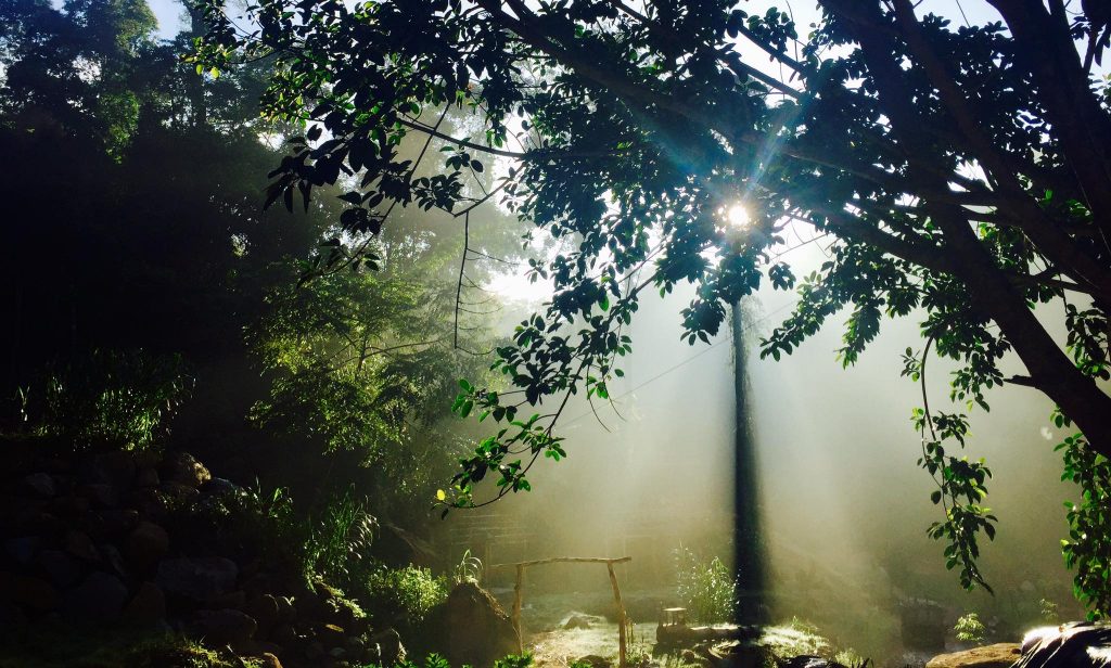 Đặt phòng Khách sạn Đà Lạt –  Resort Da Lat – Villas – Homestay Đà Lạt giá rẻ 2025