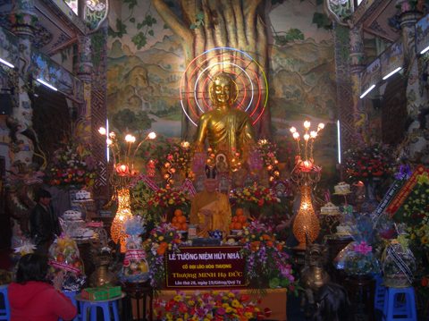 Đặt phòng Khách sạn Đà Lạt –  Resort Da Lat – Villas – Homestay Đà Lạt giá rẻ 2025