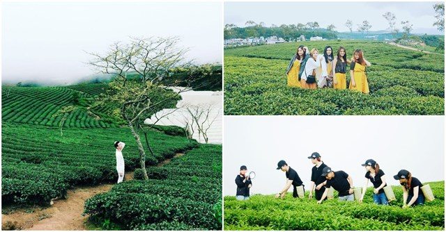 Đặt phòng Khách sạn Đà Lạt –  Resort Da Lat – Villas – Homestay Đà Lạt giá rẻ 2026