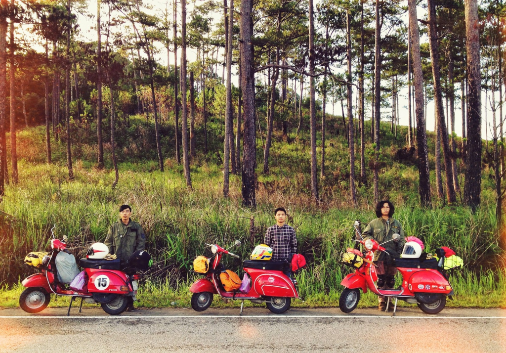 Đặt phòng Khách sạn Đà Lạt –  Resort Da Lat – Villas – Homestay Đà Lạt giá rẻ 2025