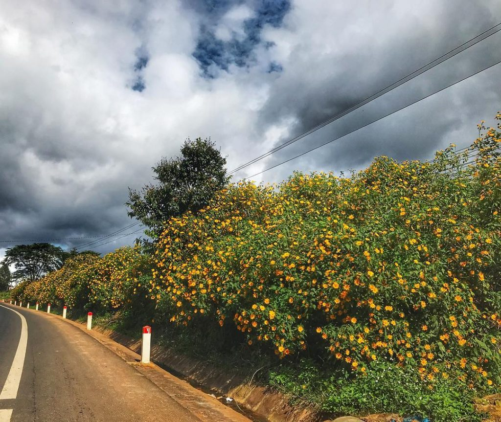 Đặt phòng Khách sạn Đà Lạt –  Resort Da Lat – Villas – Homestay Đà Lạt giá rẻ 2026