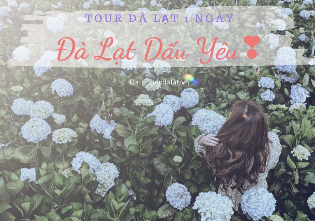 Top 10 tour Đà Lạt 1 ngày 2020 | TA Travel - 01
