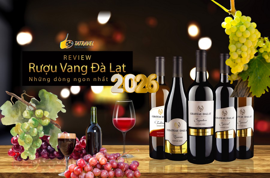 rượu vang Đà Lạt dòng nào ngon nhất và mua ở đâu