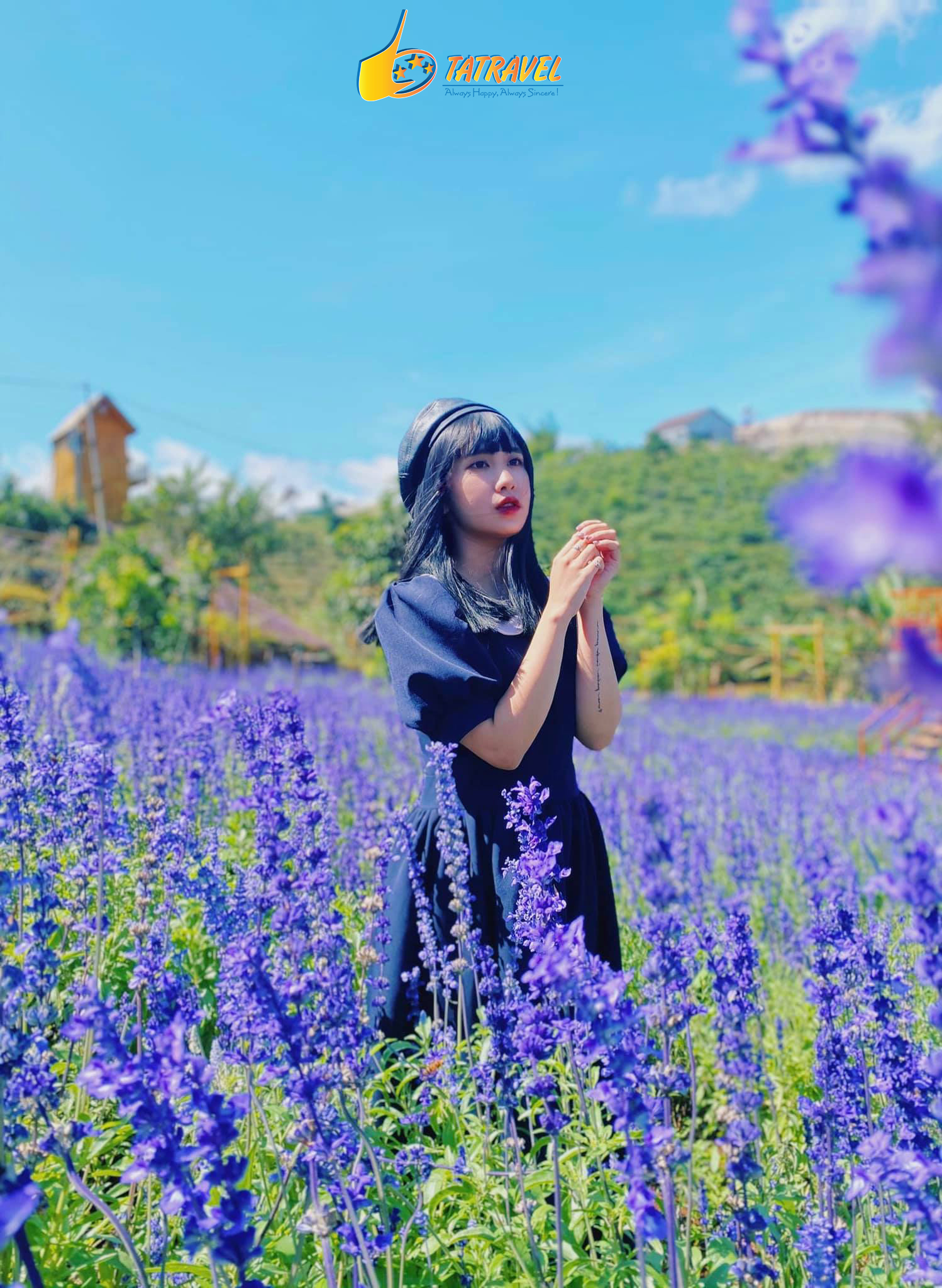 Vườn hoa Lavender đẹp ở Đà Lạt