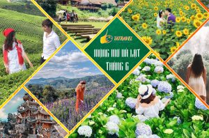 Mộng mơ Đà Lạt tháng 6 có gì đẹp để bạn xách balo lên và đi?
