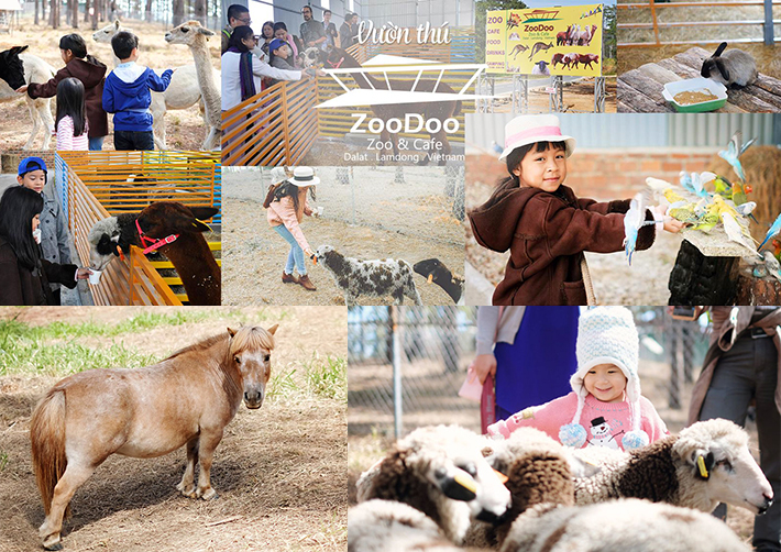 Du khách ghé tham quan vườn thú Zoodoo