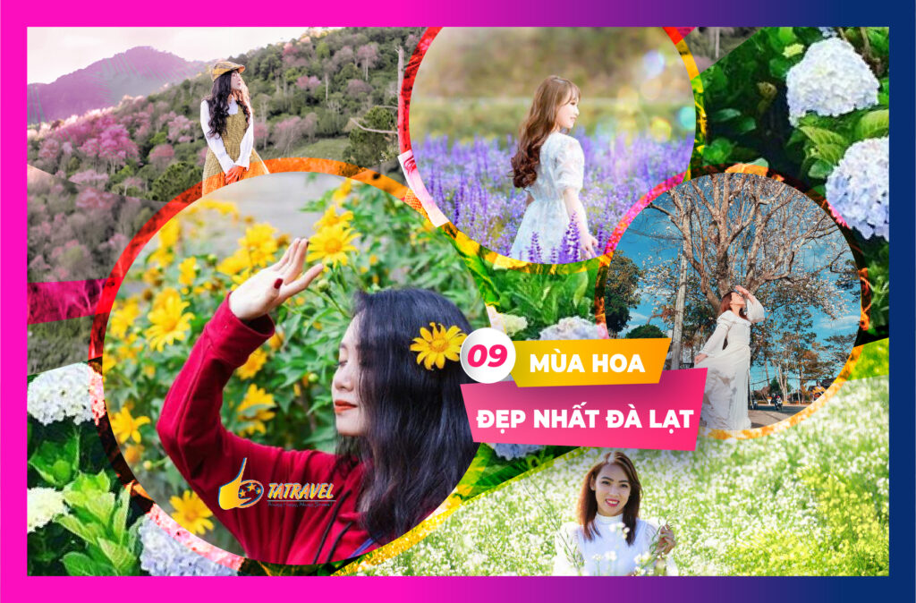 Đừng bỏ lỡ 9 mùa hoa đẹp nhất Đà Lạt năm 2021