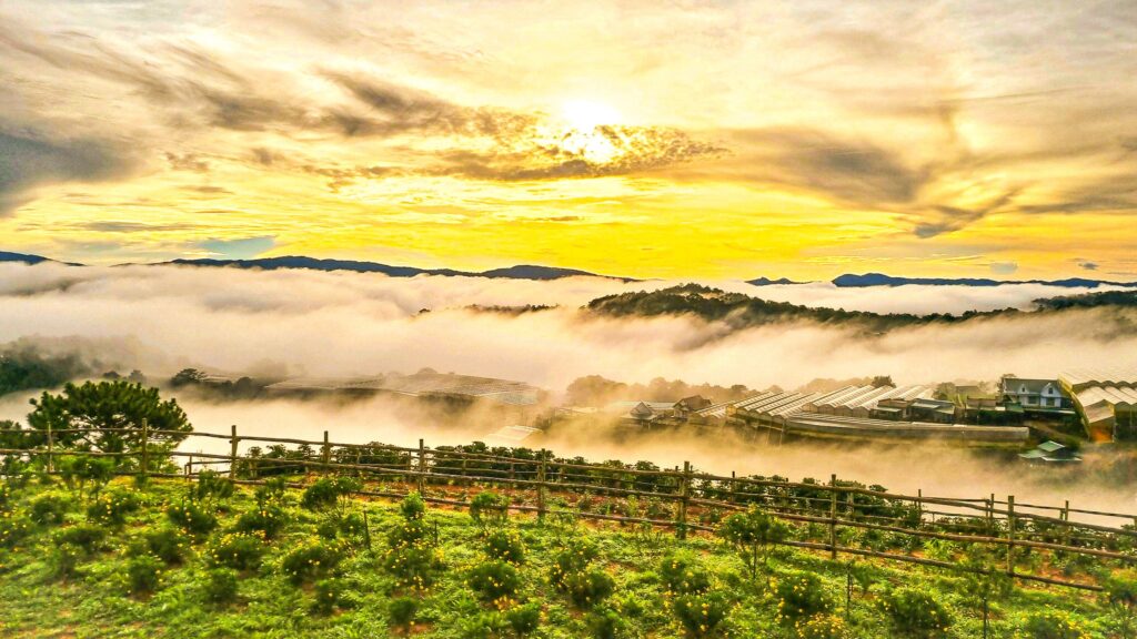Đồi mây Đà Lạt được xem là top 1 các địa điểm săn mây Đà Lạt 2021