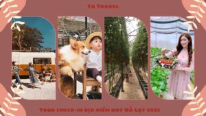 Tour check in địa điểm hot Đà Lạt 2023. TA Travel