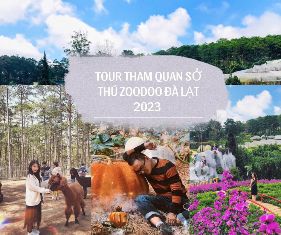 Tour thăm quan sở thú Zoodoo Đà Lạt 2023