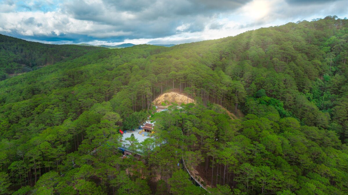 Tea Resort Prenn Đà Lạt đẳng cấp 5* - Ảnh 3
