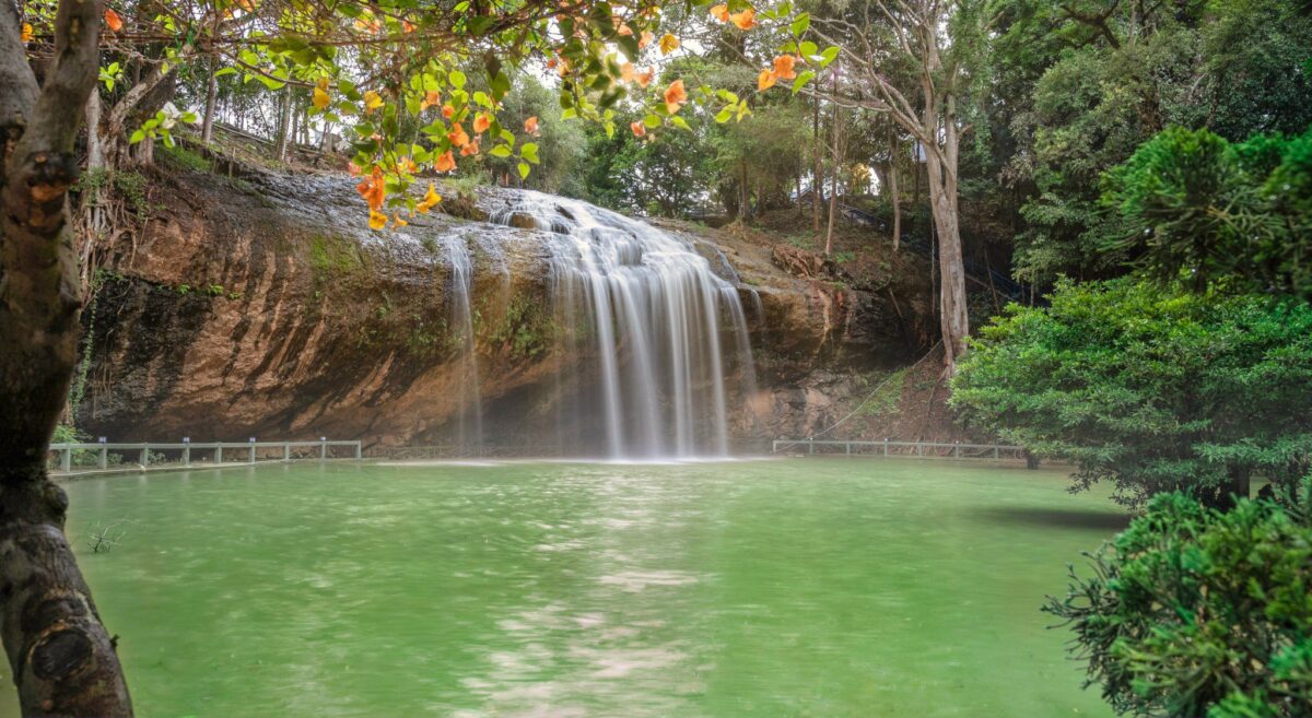 Tea Resort Prenn Đà Lạt đẳng cấp 5* - Ảnh 6